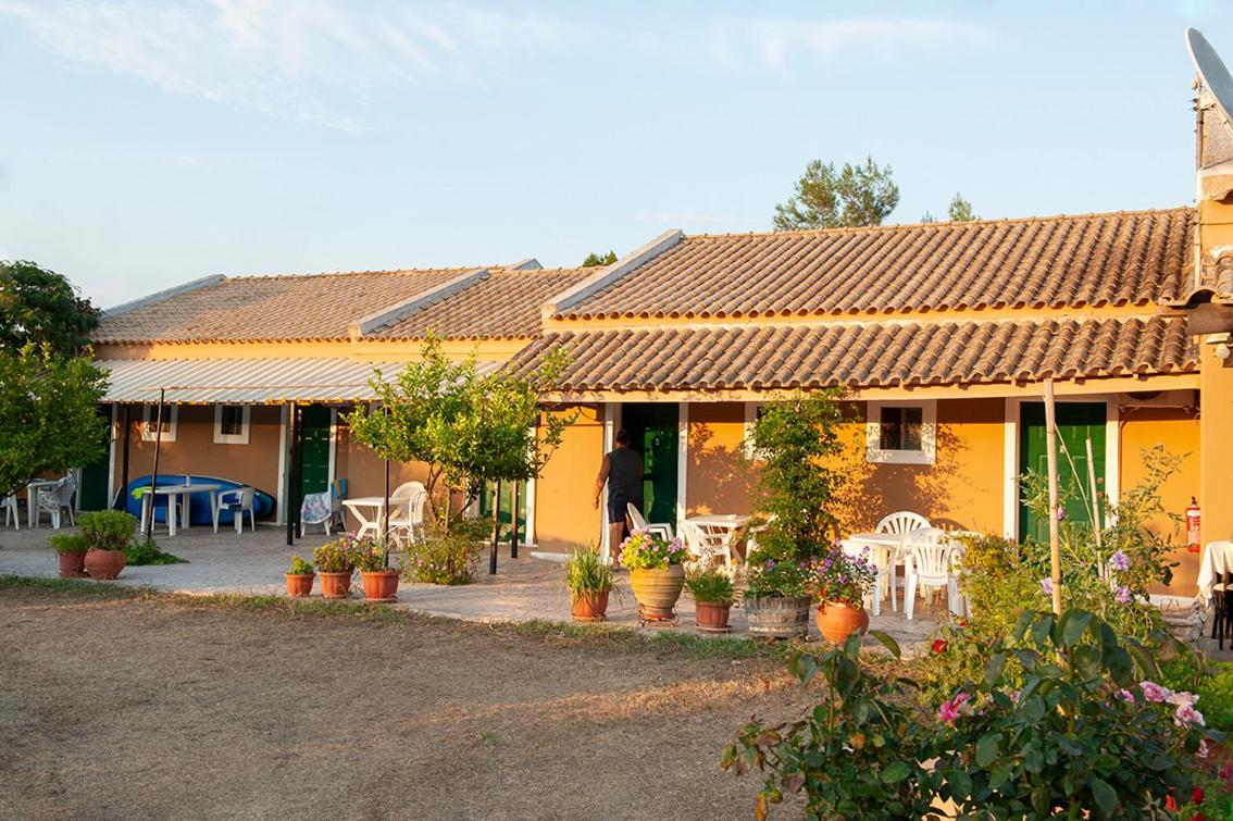 Gardenos Hotel Vitaládesz Kültér fotó